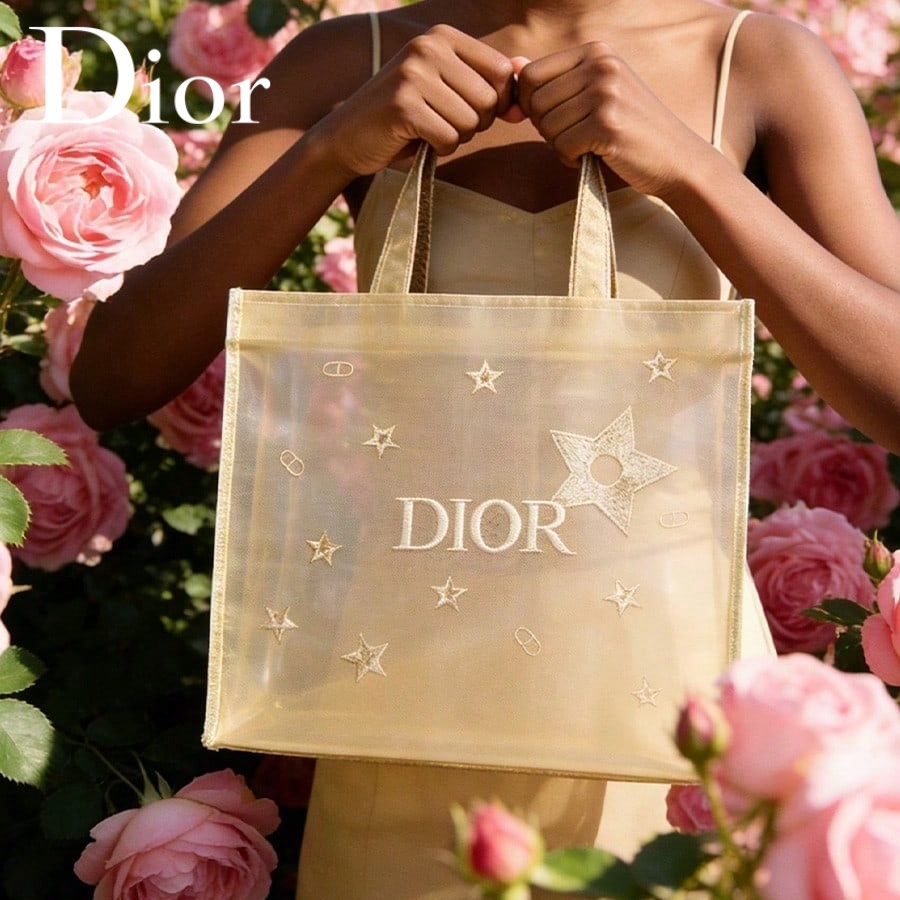 Luxury Bags Dior - Christian Dior Dior’s bag Luxury Golden