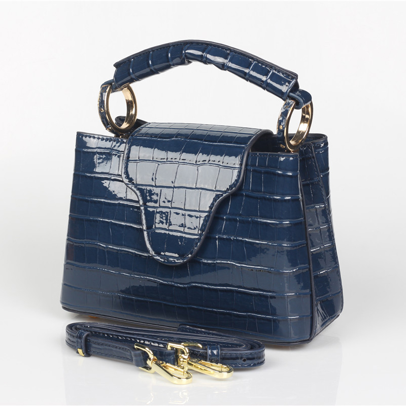 TOPHIGH Luxury Design Handbags - Luxury Bags For Women Sale 评论和价格